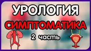 Урология. Лекция 6. Симптоматика урологических заболеваний. 2 часть