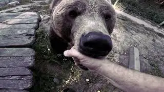 И снова Мансур скучал