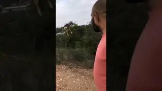 Летающий олень
