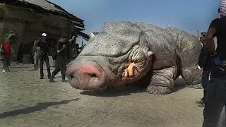 16 Strange Creature Pictures Explained