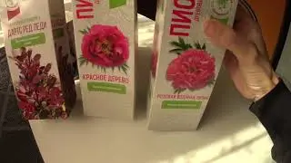 Посадка пиона и барбариса из ФИКС ПРАЙС