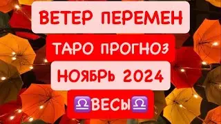 ♎️ВЕСЫ♎️ ВЕТЕР ПЕРЕМЕН .НОЯБРЬ 2024. ТАРО ПРОГНОЗ