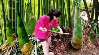 Harvesting Bamboo Shoots & Fruits at a Peaceful Stilt House | Rural Life & Sustainable Living