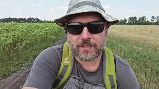 Поля :)