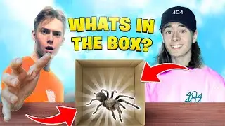 WHAT'S IN THE BOX CHALLENGE | Team 404