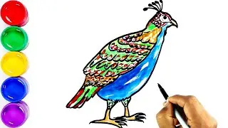 Drawing National Bird Danfe || Himalayan Monal || Lophophorus Bird || डाँफे