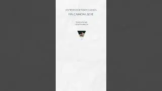 Зачем мне агентство недвижимости, если я могу сам :)