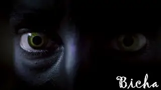 BICHA