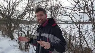 Зимовка пчёл в ульях