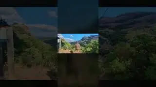NATURE LOVER/NATURALIZA