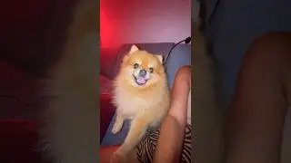 Степан хочет целовашек🥰