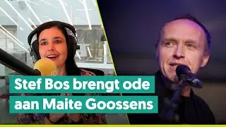 Stef Bos brengt ode aan Maite Goossens