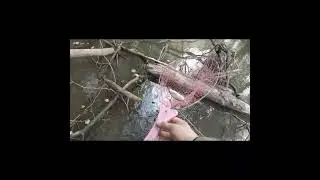 #мормышинг
