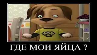 Муд барбоскины демотиватор #25