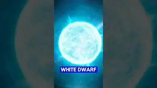 These are the Few Signs of the Star's⭐ Death!