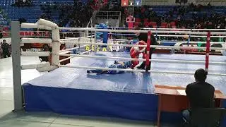Магомедов Амир 11 лет