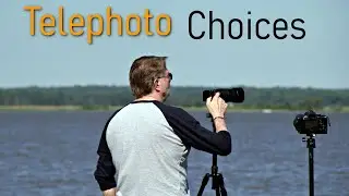 Telephoto Choices: Which lens is best?