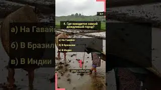 Викторина о природе: Дождь 