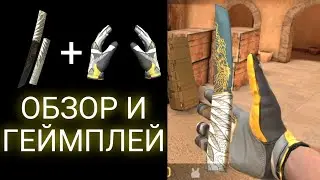 Tanto Dojo & Gloves Champion | ОБЗОР И ГЕЙМПЛЕЙ