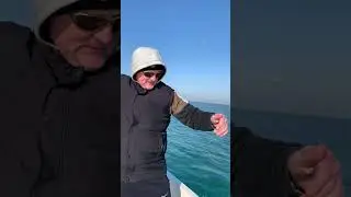 Хамса в Сочи. Ловим анчоуса.
