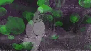 lines NYE performance 12/31/2020