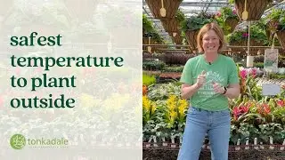 Safest Temperature to Plant in Spring