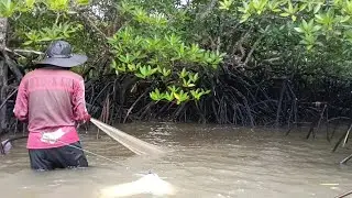 Fishing for shrimp - the captain is furious again because his nets keep getting tangled.