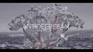 ANTİDEPRESAN SPEED UP🪐