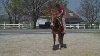 Charlie Brown AKA Charles B Brown 7 - Sowhatchett Mule Farm, Inc