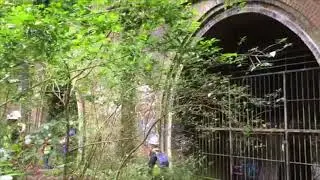 Highgate - Wilderness Walkabout