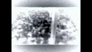 Maurane - Les uns contre les autres