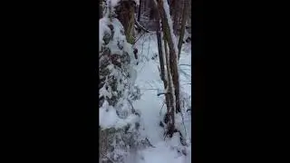 fallInG SnoW для всех кто любит снежок...