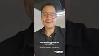 La Cámara de Diputados propone modificaciones regulatorias con respecto al maíz transgénico 🌽
