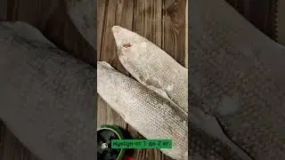 Подлёдный муксун. Свежий вылов.