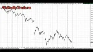 Форекс ! Лучшее видео ! Смотреть всем ! Урок По Mql4. Написание Советника (Эксперта) - Создание