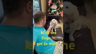 My favorite part of work #dogs #reels #entrepreneur #happy #favorite #best #businessowner  ￼￼