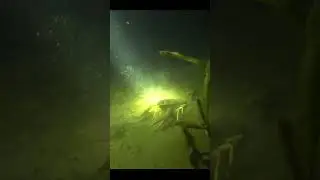 Рак