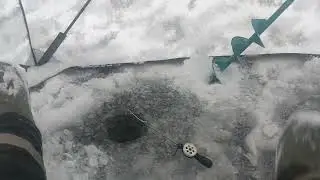 первый выезд через волгу на самодельном мотобуксировщике. январь 2024г