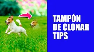 Tampón de Clonar en Photoshop - Trucos Rápidos