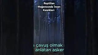 Reptilian Mağarasında İnsan Kemikleri #gizemlervebilinmeyenler #youtube #youtuber #youtubeshorts