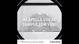 ACAPELLA sample. Take. Edm. Josie type beat vocal sample. Phonk house. Type beat. 