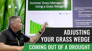 Adjusting Your Grass Wedge Coming Out of a Drought