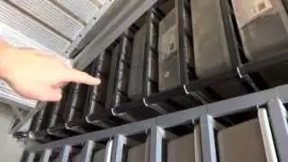 REPTILE ROOM(s) TOUR!