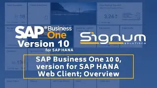SAP Business One 10 0, version for SAP HANA Web Client; Overview