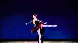 Tamara Rojo and Yoel Carreño   Don Quijote Pas de Deux
