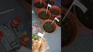 Как подписать посадки?