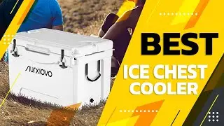Best Ice Chest Cooler in 2022 – Expert's Guide!