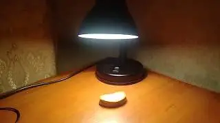 Сухарь загарает