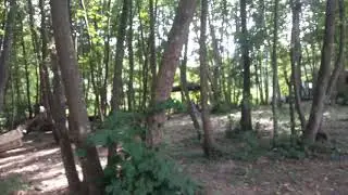 akyazi bickideresi