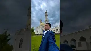 Прекрасный разговор…